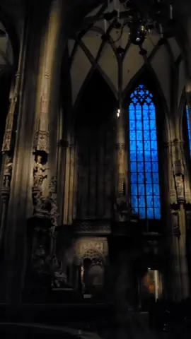 i could live here  ‎ ‎ ‎ ‎ ‎ ‎ ‎ ‎ ‎ ‎ ‎ ‎ ‎ ‎ ‎ ‎ ‎ ‎ ‎ ‎ ‎ ‎ ‎ ‎ ‎ ‎ ‎ ‎ ‎ ‎ ‎ ‎ ‎ ‎ ‎ ‎ ‎ ‎ ‎ ‎ ‎ ‎ ‎ ‎ ‎ ‎ ‎ ‎ ‎ ‎ ‎ ‎‎ ‎ ‎ ‎ ‎ ‎ ‎ ‎ ‎ ‎ ‎ ‎  #architecture #gothic #vampireaesthetic #cathedral #fyp 