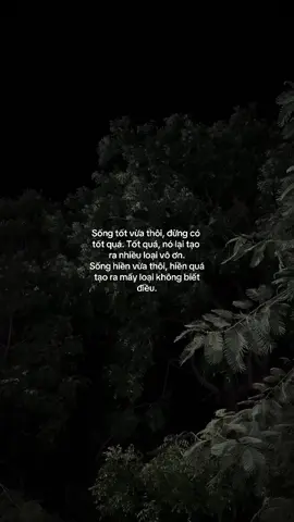 #story #xuhuong #viral #tiktokindia #tien #xahoi #cuocdoi #cuocsong #truongthanh #cap #fly #songtot 