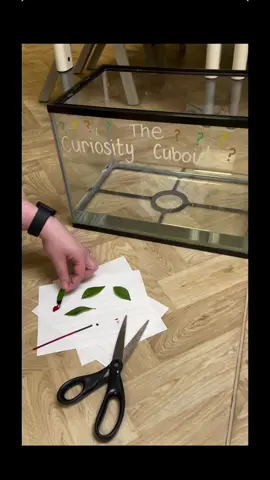 Leaf propelled by ink experiment 🍃  Super easy to do and so cool to watch! For this experiment all you need is : - container with water (bowl, plate) - leaves - pens (take the pen apart so you can add the ink to the leaves) This happens because of Marangoni effect, the ink has a lower surface tension than water, lowering the surface tension behind the leaf. As the water still has a large surface tension, it pulls the leaf forward!  #science #curiosity #experiment #leaf #classroom #continuousprovision #activity #yesrone #ks1 #keystage1 #teacher #teacheroftiktok #fyp #foryou #foryoupost 
