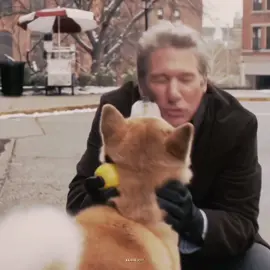why is this the saddest movie ever made 😭😭😭 | #hachiadogstale #hachiadogstaleedit #hachiko #richardgere #edit #viral #blowthisup #dogsoftiktok #movie