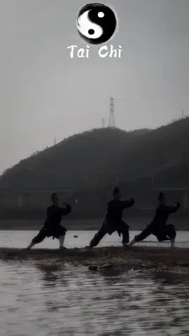 Practice with senior apprentices 👥 #taichi #martialarts #kungfu #chineseculture #culture #foryou 