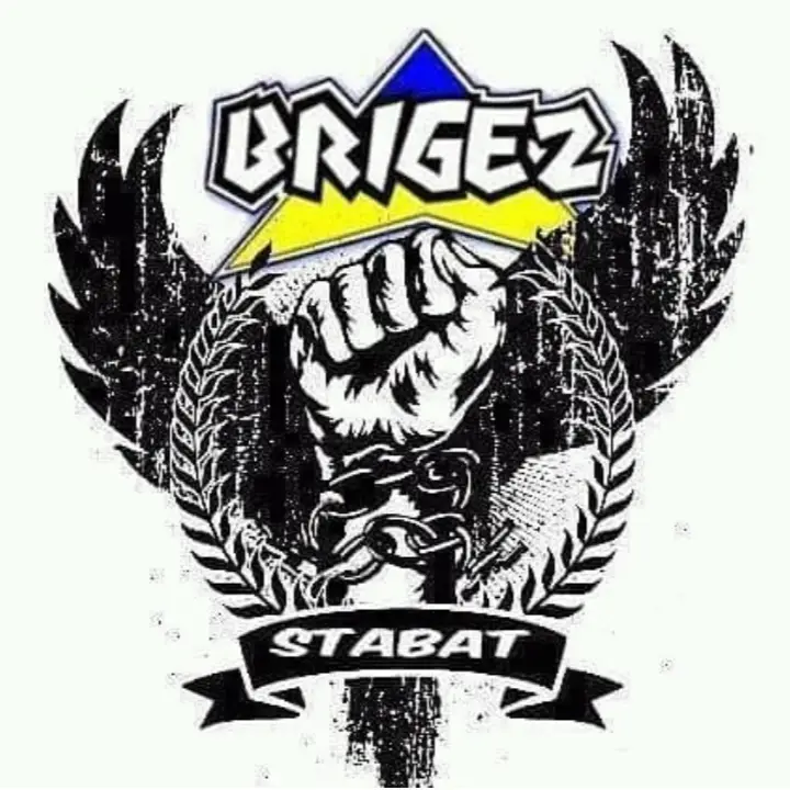 #brigezindonesia🇾🇪🦇🇺🇦 #fyp 