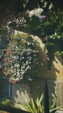 #explor #foryou #fyp 💗🦋