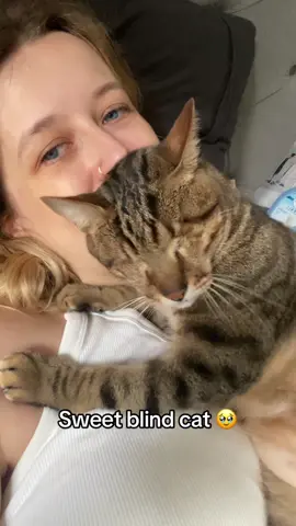 No eyes but so much love 🩷 #blindcat #catlove 