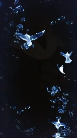 #star99761 #😔 #صدگوني_مامليتكم #🥺🤍 #ياس_خضر #ياس_خضر_ابومازن_صوت_الارض💖 #الياس_خضر #الياس_خضر_الطرب_والاحساس 