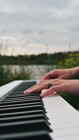 Among the reeds on the shore  #piano #pianist #pianocover #soundofsilence #aesthetic #passionate #emotion #pianomusic 