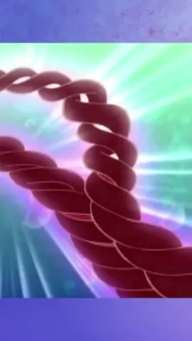 CONHEÇA A TRANSFORMAÇÃO ENCHANTIX DO CLUBE DAS WINX #winxclub #winx #enchantix