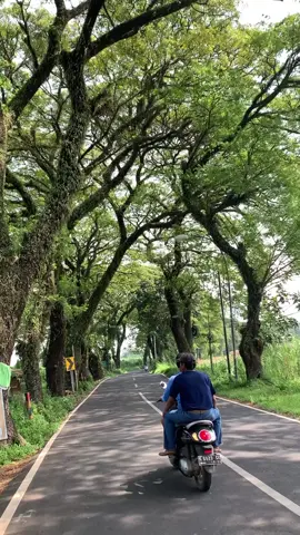 Duwe kenangan opo sepanjang jalan iki cah? 📍Jl. Raya besito gebog kudus #kudus #kuduspride #kudus24jam #kuduskotakretek #kudusviral #trend #trending #trendingvideo #fyp #fypシ゚viral #fypage #viral #viralvideo #viraltiktok #trend #trending #fyp #fypシ゚viral #fypage #xuhuong #xuhuongtiktok #xybca #healing #jalanjalan #vianuchis #vianuchiss 