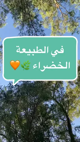 المشي في الطبيعة له شعور خاص جدا 🌿🧡 استمتعوا ✌🏻 #الطبيعة #الأشجار #الغابة #غابة #طبيعة #الجزائر #algeria #algerie #Vlog #المشي #ريلاكس #relax #fyp #fypage #viral 