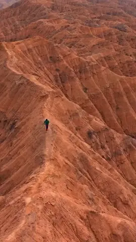 Đời như cánh chim bay ngàn phương 