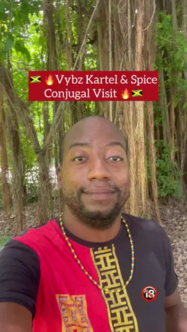 🇯🇲🔥 VYBZ KARTEL & SPICE - CONJUGAL VISIT  🔥🇯🇲 #martinique #guadeloupe #guyane #jamaica #foryoupage #prt #tiktokers #viral #pourtoi #english #dancehall #teaching #kreyol #fun #comedy #caribbeantiktok #dancehall