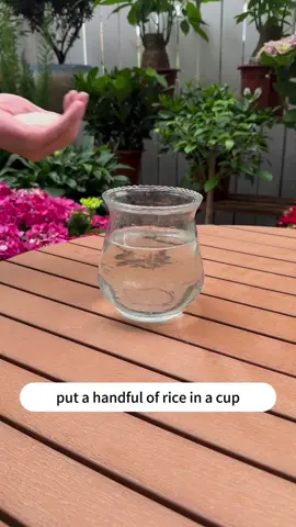 Tip #soilphu #soilteater #soilph #soiltester #soil #soils #soilheath #plant #plantsoftiktok #plants #planting #plantlife #gardens #flower #flowers #tip #tips #gardenlove #plantlover #garden 
