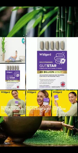 Wellgard Gutstar Probiotics Bloating Gut Health Digestion
