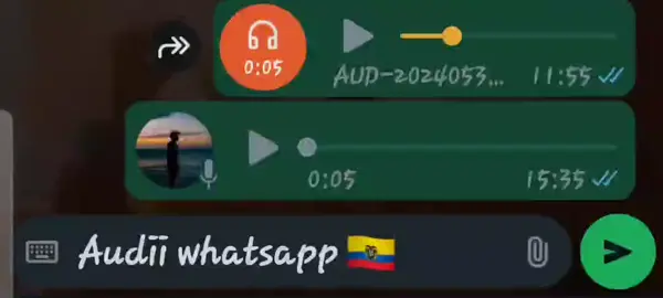 #audioswhatsappecuador #foryou #disculpedisculpe #nohaycomohacercallaraese 