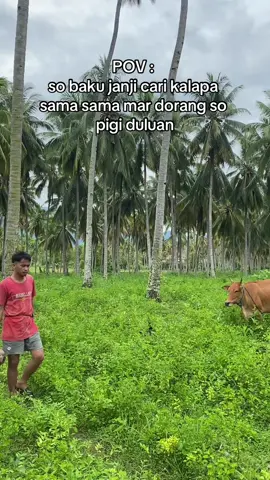 tausa jo baku taman lea🫵😔#ampanakota #ampana #ampana #palu #poso #parigi #kotamobagu #manadotiktok #manado #bitung #ternate_malukuutara #morowali_sulteng_bahodopi #gorontalo #luwukbanggai #foryoupage #fypシ #fyp 