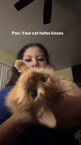 he said ✋🏻✋🏻 #cat  #catsoftiktok #foryou #CapCut 