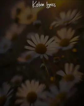 @Christina Shusho THAMANI YA WOKOVU WANGU 🥺😣🥰🥰🙏🙏🙏#foryou #foryoupage #foryourpage #thamaniyawokovuwangu #christinashusho #tanzaniatiktok🇹🇿 #kenyatiktok🇰🇪 #swahiligospel #lyricsvideo #kelvinlyrics_5 