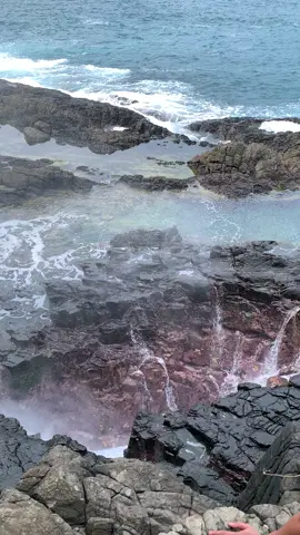 Hei lihat ini lampung #pesonaindonesia #lagunagayau #telukkiluan 