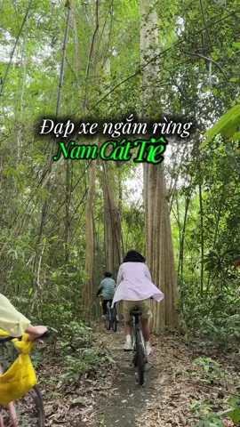Đạp xe ngắm rừng #namcattien #khoaathichdi 