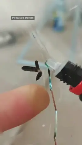 2024 New Year Hot Sale -Cracks Gone Glass Repair Kit