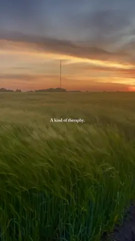 preferred form of theraphy.🍃💚 #nature #therapy #naturelover #sunset #sunrise #naturevibes #calming #relax #aesthetic #idea22 #fyp #ctto owner/s of the clips used! #thankyou 