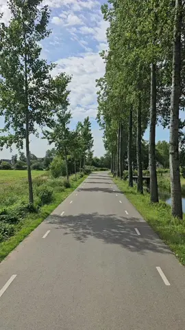 #سعد_البياتي #الطرب_العراقي_الاصيل #طربيات_الزمن_الجميل_🎼🎶🎻♥️🌹 #دجلة #الفرات #ابو_تاله #ابو_تالا #سائقين_الشاحنات 