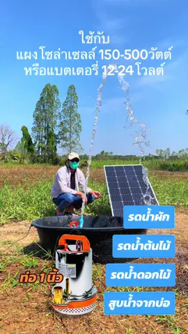 รดน้ำผัด รดน้ำดอกไม้ ปั๊มไดโว่ 300W #โซล่าเซลล์เพื่อการเกษตร #บ้านสวน #ปั๊มโซล่าเซลล์ #ปั๊มไดโว่ #เกษตรกร #ปั๊มน้ํา #คาเฟ่ 