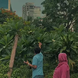 ভালোবাসা টের পাওয়া যায় 🍃🥀 