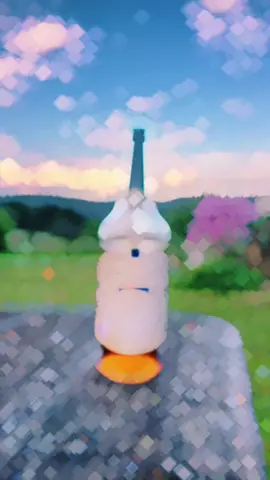 Zuhause ist immer am besten. 