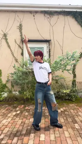 Tiramisu Cake no KINJO SUKAI #tiramisucake #티라미수케익 #JO1 #金城碧海 #SKY