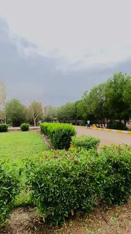 المعهد التقني بابل 🤍✨