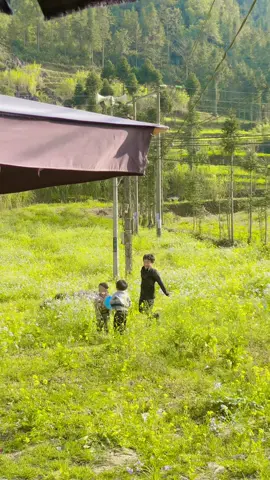 Cũng đã từng có một tuổi thơ♥️ #traveltiktok #hagiang #dulichhagiang #datohagiang 