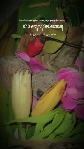 Doa Tolak Bala  ꦯꦶꦁꦒꦃ​ꦱꦶꦁꦒꦃꦏꦭꦱꦶꦁꦒꦃ Singgah-singgah kala singgah  (pulanglah segala yang buruk, pulanglah)  ꦦꦤ꧀ꦱꦸꦩꦶꦁꦒꦃꦢꦸꦂꦒꦏꦭꦱꦸꦩꦶꦁꦏꦶꦂ Pan suminggah durgakala sumingkir  (Pulanglah segala yang jahat, menyingkirlah)  ꦯꦶꦁꦄꦱꦶꦫꦃꦱꦶꦁꦄꦱꦸꦏꦸ Sing asirah sing asuku  (segala makhluk berkepala, segala makhluk berkaki)  ꦯꦶꦁꦄꦠꦤ꧀ꦏꦱꦠ꧀ꦩꦠ Sing atan kasat mata (Yang tak tampak oleh mata) ꦯꦶꦁꦄꦠꦼꦁꦒꦏ꧀ Sing atenggak  (Yang memiliki leher,) ꦱꦶꦁꦄꦮꦸꦭꦸꦱꦶꦁꦄꦧꦲꦸ sing awulu sing abahu (yang berbulu dan yang memiliki bau)  ꦑꦧꦺꦃꦥꦝꦱꦸꦩꦶꦁꦏꦶꦫ Kabeh padha sumingkira (Kalian semua menyingkirlah)  ꦟꦶꦁꦠꦼꦊꦔꦶꦁꦗꦭꦤꦶꦝꦶ Ning telenging jalanidhi (Pergi ke Dasar Samudra) Rahayu Sagung Dumadi  #jowo #jowopride #jowopridee #jowostory #jawa #jawapride #jawastory #kejawen #kejawenan #kejawenmistik #doakejawen #doatolakbala #budayajawa #dewikilisuci #dewikilisucigunungpucangan #CapCut 