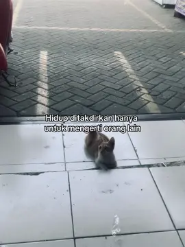 Terbiasa menjadi rumah untuk orang lain sampai lupa bahwa diri ini juga perlu rumah 🥀 #MentalHealth #sad #foryou 