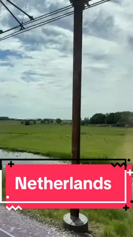 Train to Amsredam ❤️ #travel #netherlands #trip 