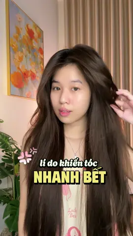1 lí do khiến tóc nhanh bết hơn có thể mng ít để ý 🥹💕 #hairtok #hairtransformation #haircare #hairtips #haircareroutine #hairturtorial #skincare #getunreadywithme #goctocdep #goclamdep #reviewlamdep #duongtoc #chamsoctoc #tocdep #duongda #foryou 