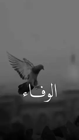 #القصايد_والشعر_هوايتي 