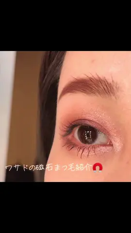 アイリストのおすすめ磁石まつ毛🧲 タイ初の挟んで簡単装着のつけまつ毛です✌️🩷 自まつ毛はあらかじめビューラーで上げてから、付属のコーティングをつけてからの装着です！ お手入れをすれば半年使えちゃいます！ 私は中国のサイトタオバオで購入です。 公式サイトでは日本対応不可のようです⚠️ #磁石まつ毛 #マツエク #ワンホンマツエク #束感まつ毛 