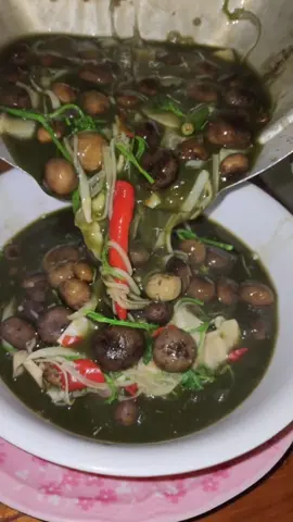 🤤🤤🤤  #แกงหน่อไม้ใส่เห็ดเผาะ #แกงหน่อไม้ #แกงเห็ดเพาะ #บ่าวผู้ไท #มุกดาหาร #นิคมเวลโกรว์ 