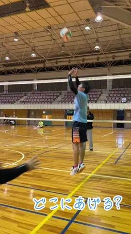 どこにトスあがるかわかる？ #volleyball #バレーボール #ハイキュー #スパイク #fyp  @JUN🐶⚒ @たつ🐉👶🏻🏐 @はるき🐺🏐 @なおや🦩✌️ @だいすけ🦔🏐 @ななみ🐿️🏐 