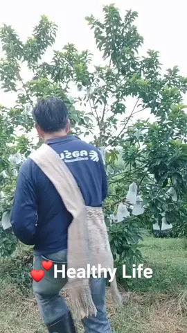 🔰Make your world อะไรที่ชอบทำเถอะ ... ความสุขจะเป็นของเรา #สวน ดร อะโวคาโด #Dr.Avocado Farm☘️🌱🥑