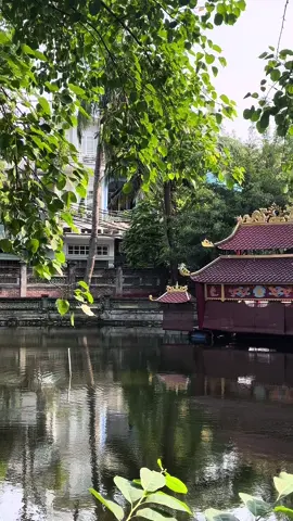 Một chiều hè tại đình Hàng Kênh, Hải Phòng. Những tia nắng nhún nhảy trên mặt hồ  lấp lánh. Gió xào xạc trên những nhành lá xanh mướt tinh khôi, đưa tiếng ve râm ran khắp không gian tĩnh mịch ngày hè. À, vậy là mùa hạ năm nay đã gần chín rồi ☺️☺️☺️  #dinhhangkenh #haiphong 