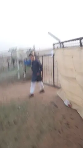 #هههههههههههههههههههههههههههههههههههههه 