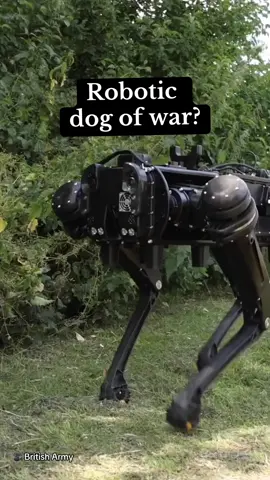 Robotic war dog has been unleashed by the British Army. The new cainine robot keeps soliders safe on the battlefield but will it take over? 🎥 British Army #war #dog #robot #tech #battle #soldier 