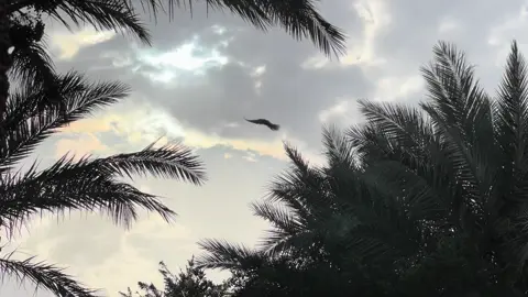 مشتاقيـن 🤍🫣.    #غيوم #تصوير #سينمائي #محتوى_تصوير #العراق_السعوديه_الاردن_الخليج 