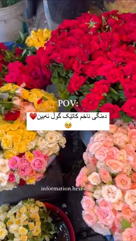 دەنگی ناخم😍#fypシ゚viral #allhamdulliah_for_everything❤ #fy #myvideo #kurdish #foryou #fypシ゚viral #😢🙏 