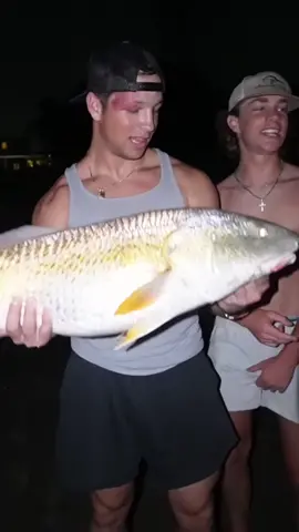 Most insane night man #saltwaterfishing #charleston #matthewscriv 