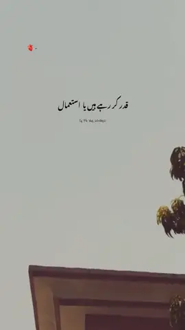 Zada Acha Hona BHI Bewakoofi Hai 🥺💔 #Foryou #ForyouPage #1millonaudition #WhatsappStatus #ViralVideo #UrduPoetry #NotYourYaas #Yaas_Writes 