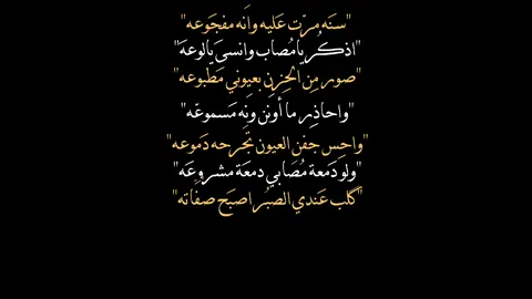 سَنه مَرت💔.  #باسم_الكربلائي  #ضياء١٤١۵ #النجف #fyp  #مشاهدات #fypシ #foryoupage  #tiktok #tiktokarab #viral #اكسبلور  #تصميمي #شاشه_سوداء #tiktoker 