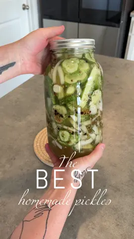 I don’t care what anyone says, nothing beats homemade pickles! Recipe below!!! . These are so easy and fun to make and taste DELICIOUS! Bonus: the cucumbers came from a friends family garden!  . I’ve been absolutely loving homesteading and making everything homemade so I decided why not share what I’m doing with the world! I hope you enjoy this video and the sounds of my home 💕 . 1 large yellow onion 6-10 cucumbers Fresh dill 6-8 cloves of garlic Pickling brine: 2 cups of water 2 cups of white vinegar 1 cup of ACV 1 handful of peppercorns 1 handful of mustard seeds 1 handful of coriander seeds 2 handfuls of salt 2 spoonfuls of white sugar . . . . . . . #homemade#pickles#pickling#homemadepickles#homestead#homegrown#cottagecore#sahm